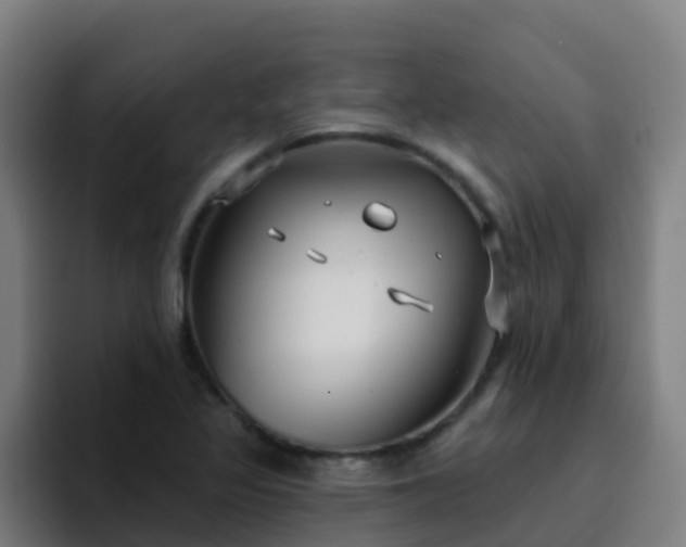 X0000094921317200712061101