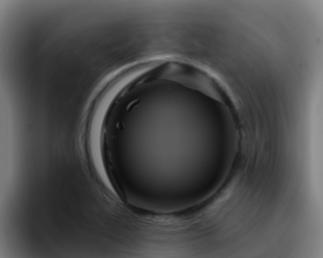 X0000094921319200712061101