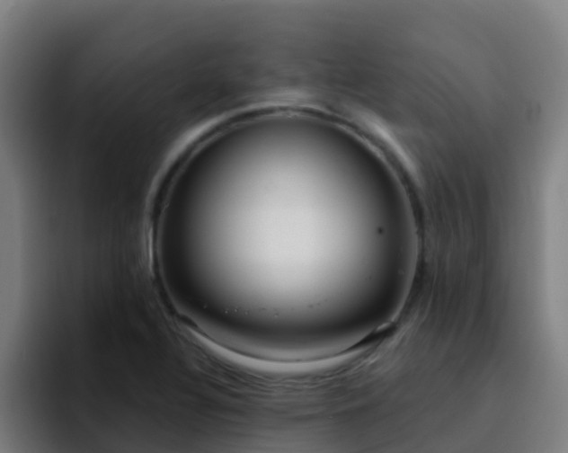 X0000094921320200712061101