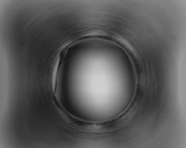 X0000094921321200712061101