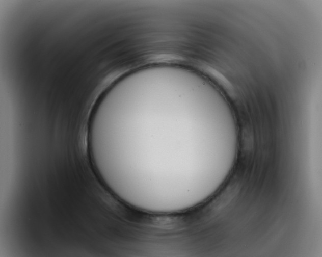 X0000094921322200712061101