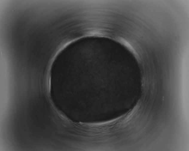 X0000094921323200712061101