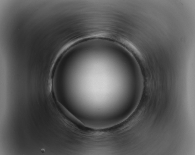 X0000094921324200712061101