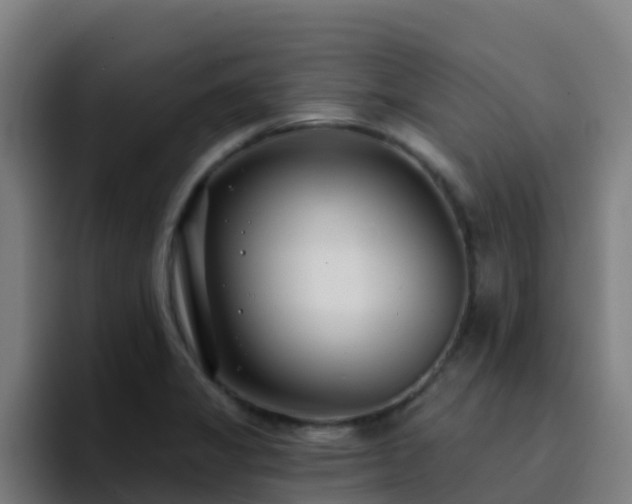 X0000094921325200712061101