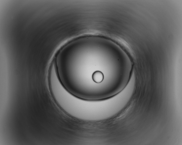 X0000094921326200712061101