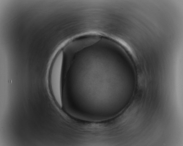 X0000094921327200712061101