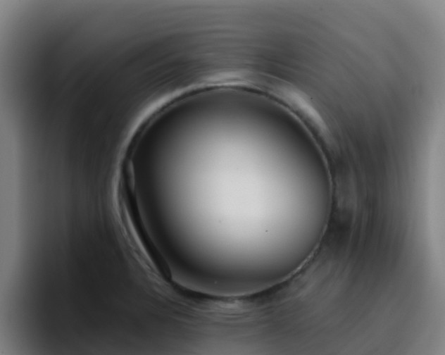 X0000094921328200712061101