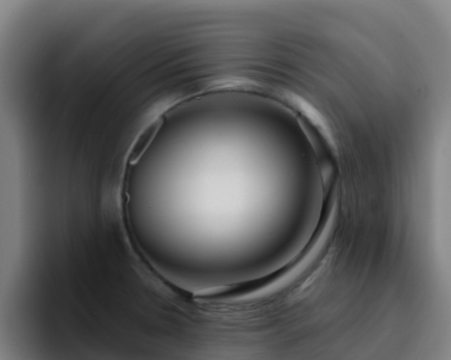 X0000094921330200712061101
