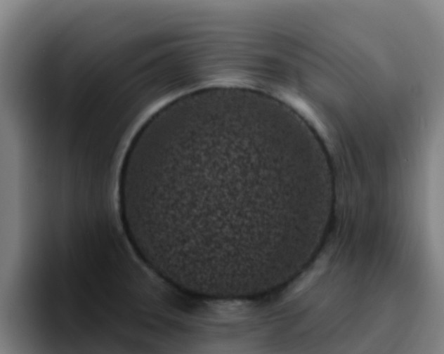 X0000094921331200712061101