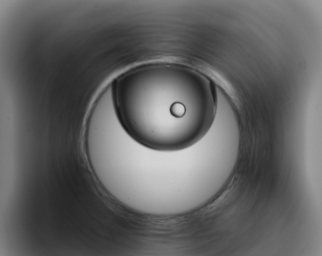 X0000094921332200712061101