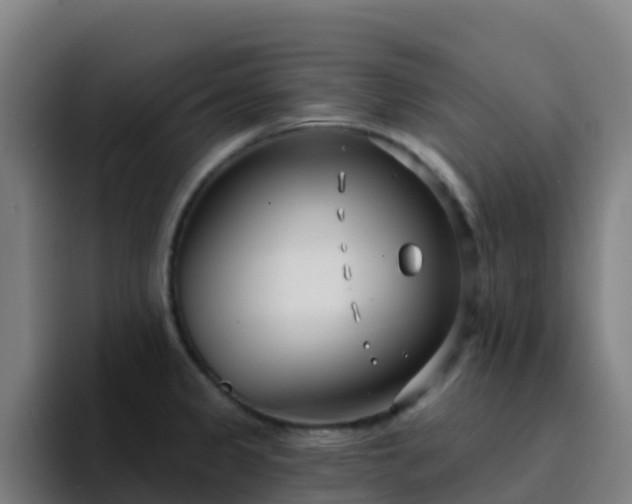 X0000094921333200712061101