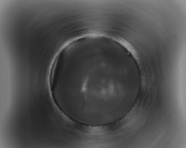 X0000094921334200712061101