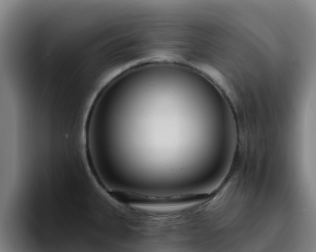 X0000094921335200712061101