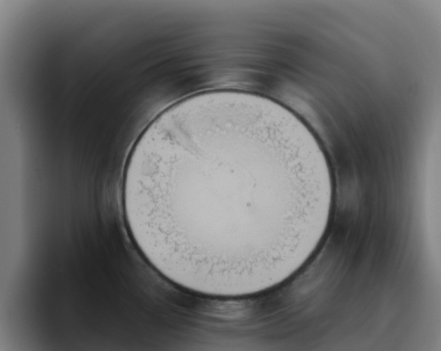 X0000094921338200712061101