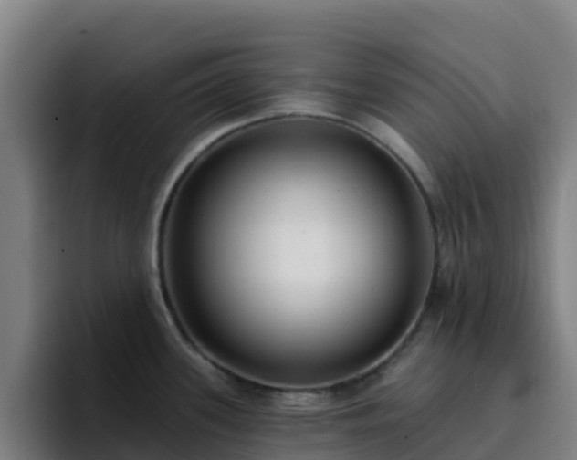 X0000094921339200712061101