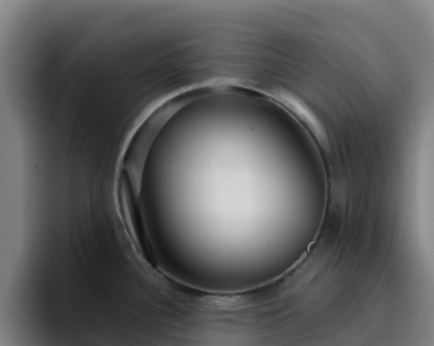 X0000094921340200712061101