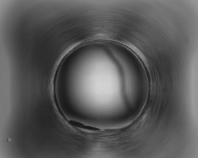 X0000094921341200712061101