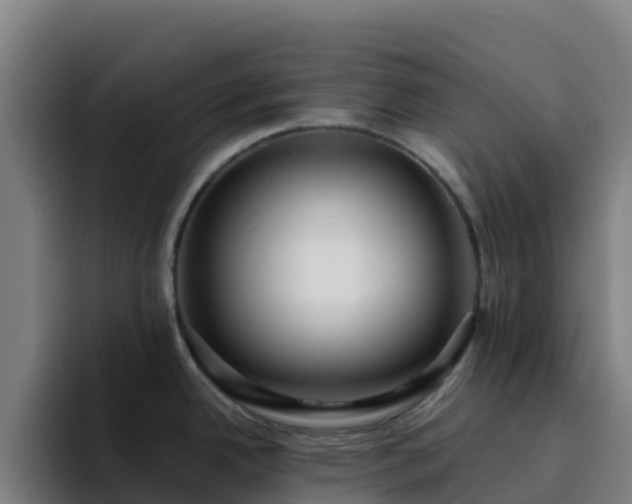 X0000094921342200712061101