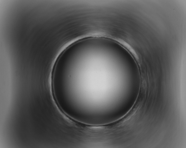 X0000094921343200712061101