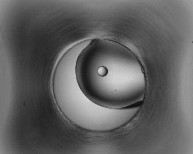 X0000094921344200712061101