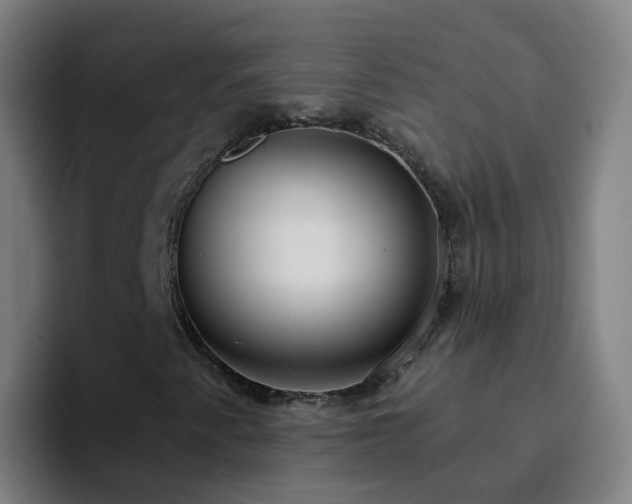 X0000094921345200712061101