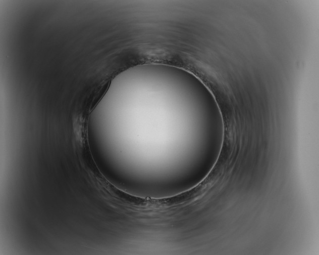 X0000094921346200712061101