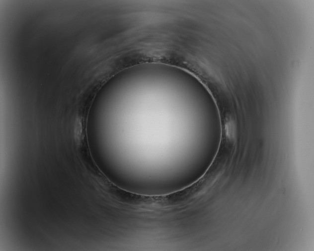 X0000094921347200712061101