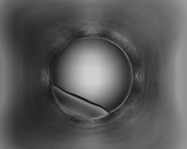 X0000094921348200712061101