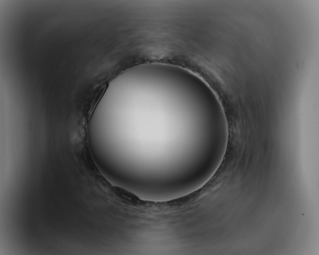 X0000094921349200712061101