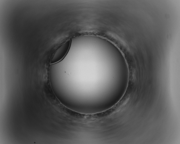 X0000094921350200712061101