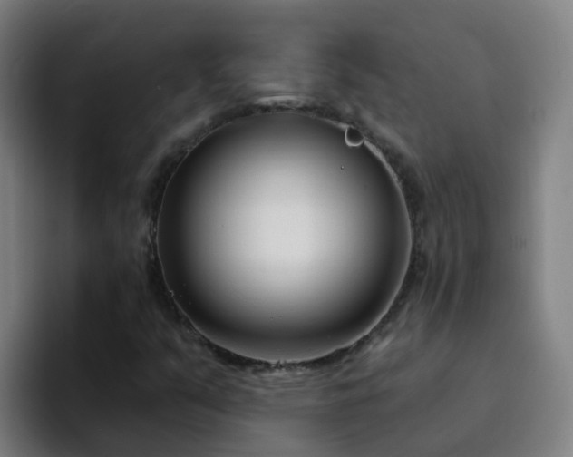 X0000094921351200712061101