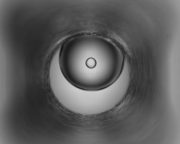 X0000094921352200712061100