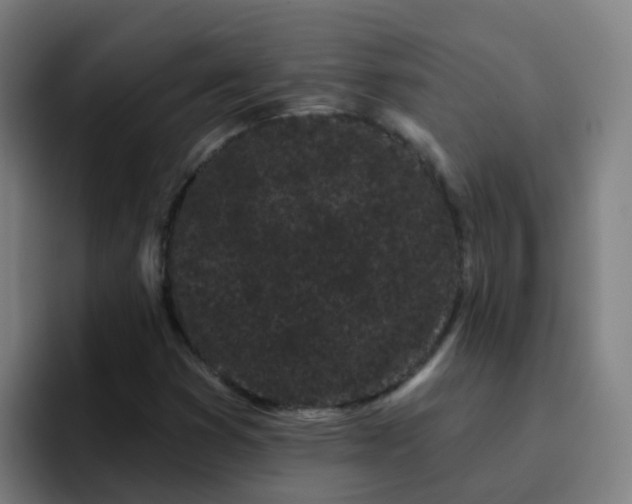 X0000094921353200712061100