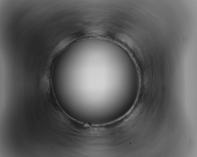 X0000094921354200712061100