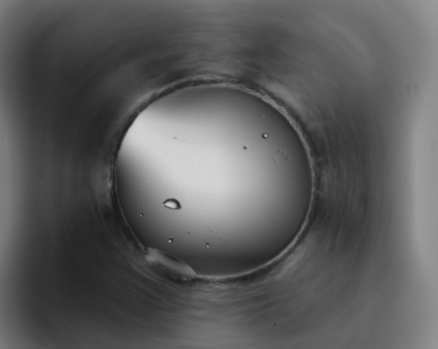 X0000094921355200712061100