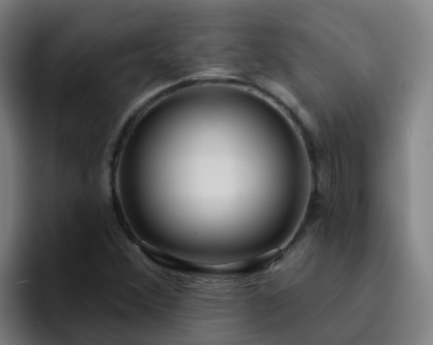 X0000094921356200712061100