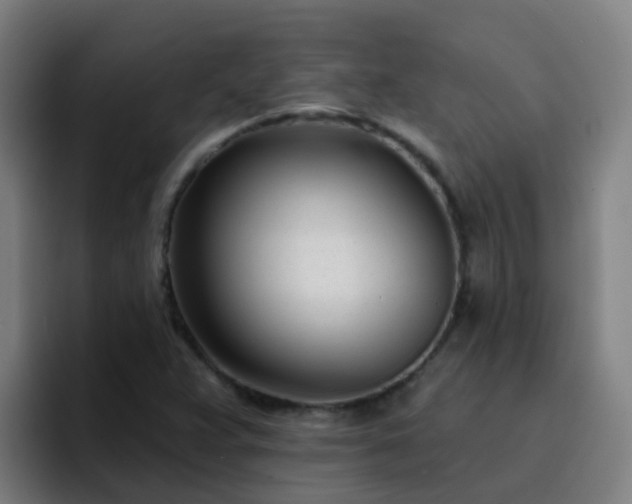 X0000094921359200712061100