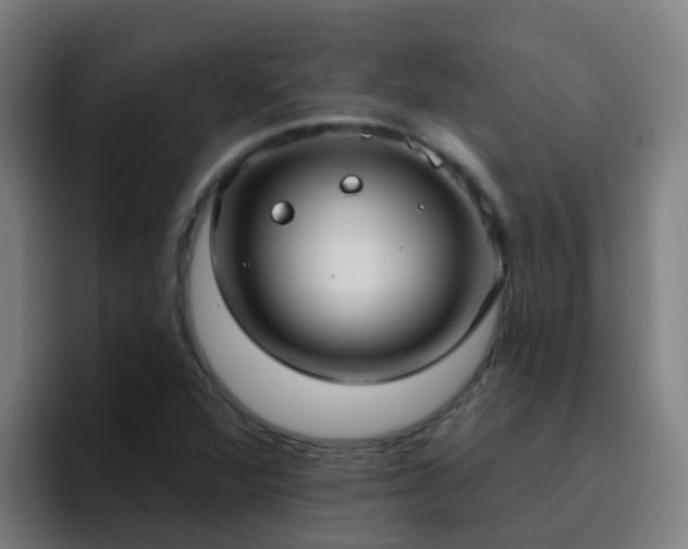 X0000094921360200712061100