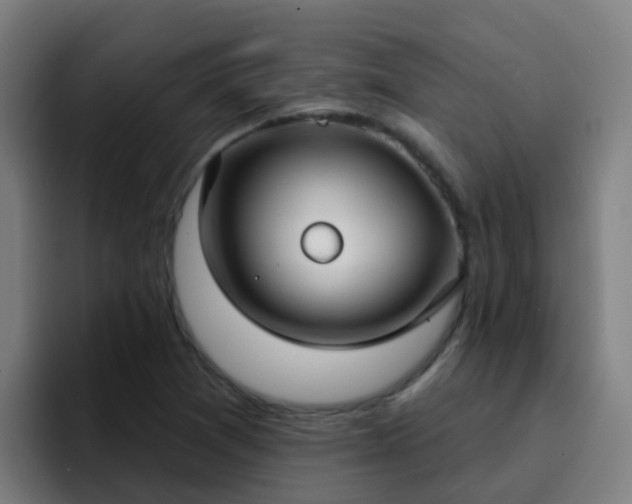X0000094921361200712061100