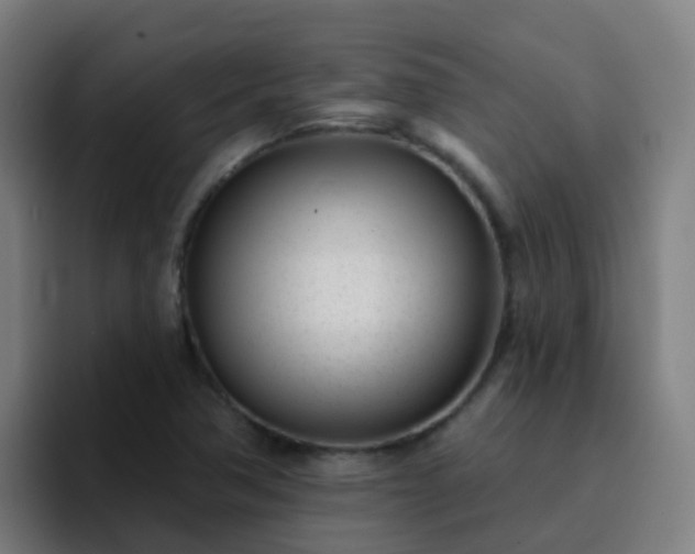 X0000094921362200712061100