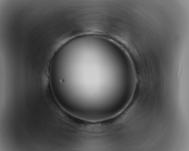 X0000094921363200712061100