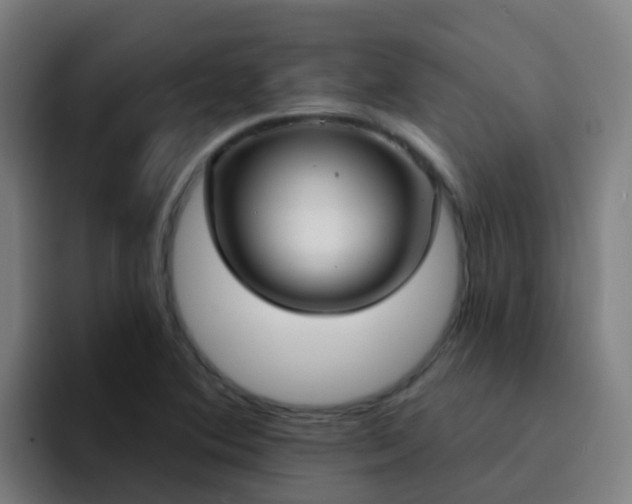X0000094921364200712061100