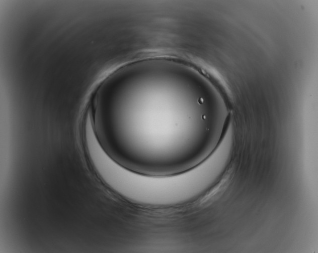 X0000094921365200712061100