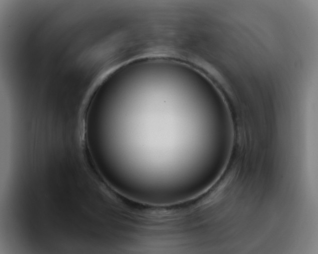 X0000094921366200712061100