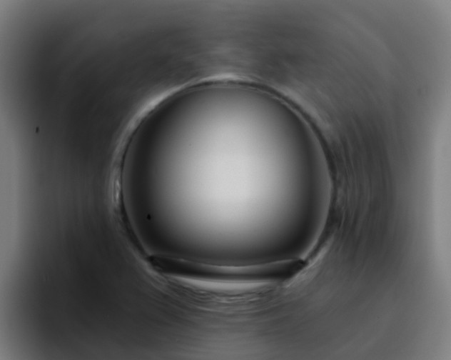 X0000094921367200712061100
