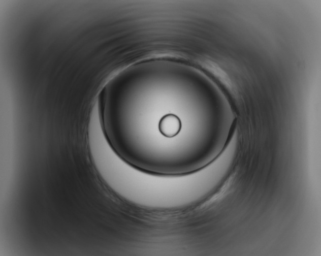 X0000094921369200712061100
