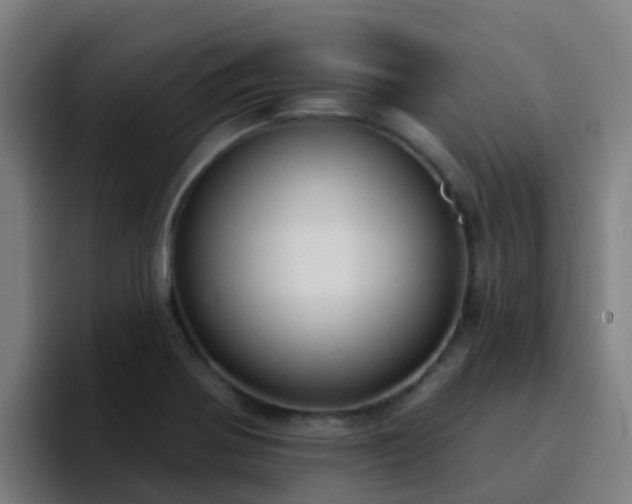 X0000094921370200712061100
