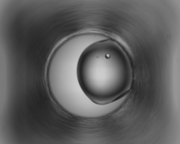 X0000094921372200712061100