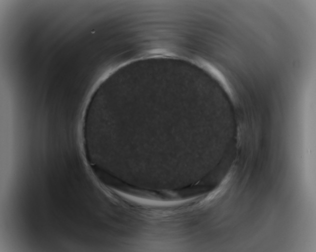 X0000094921373200712061100