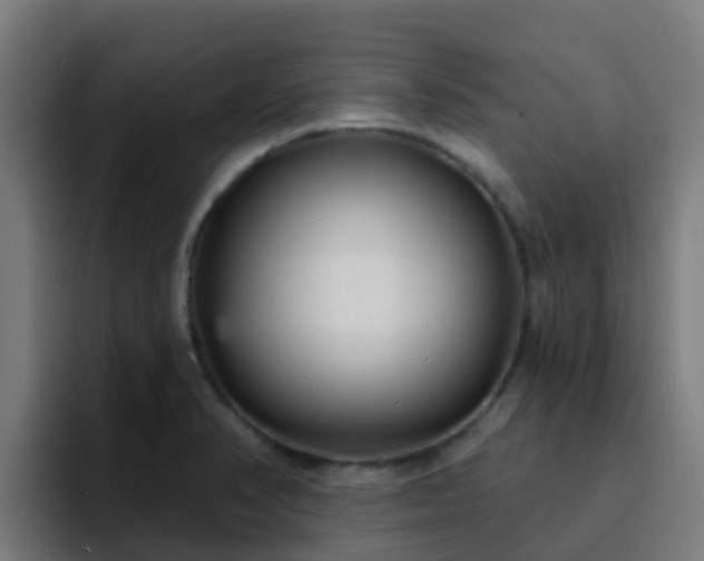 X0000094921374200712061100